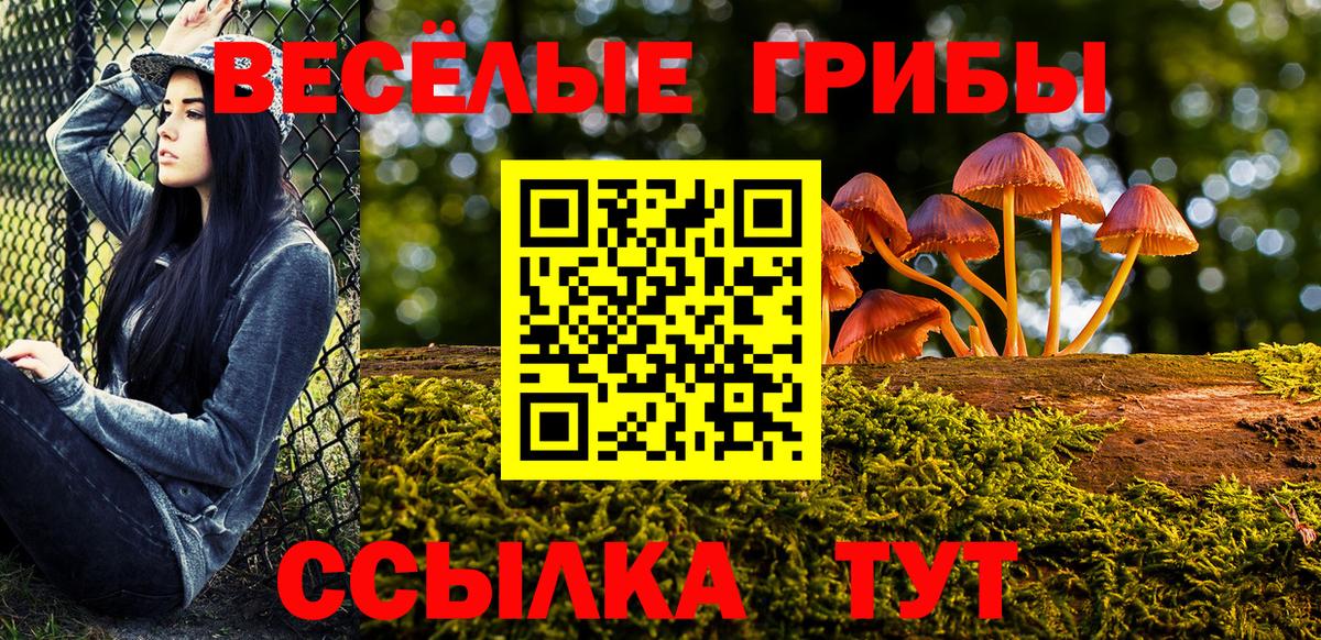 Псилоцибиновые грибы мицелий  Галлюциногенные грибы Psilocybine cubensis  Вход с VPN  Ачхой-Мартан 