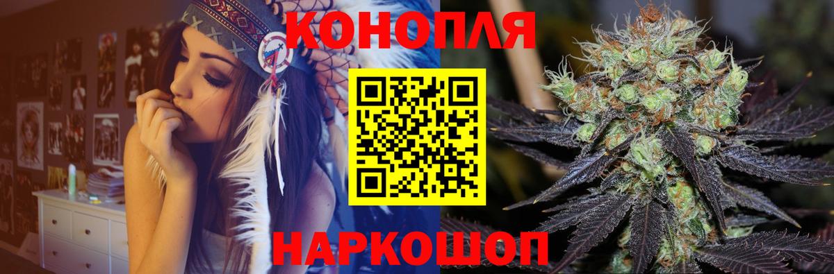 Каннабис гибрид Ачхой-Мартан